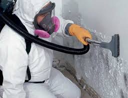 Professional Mold Removal & Remediation in Crestwood, IL